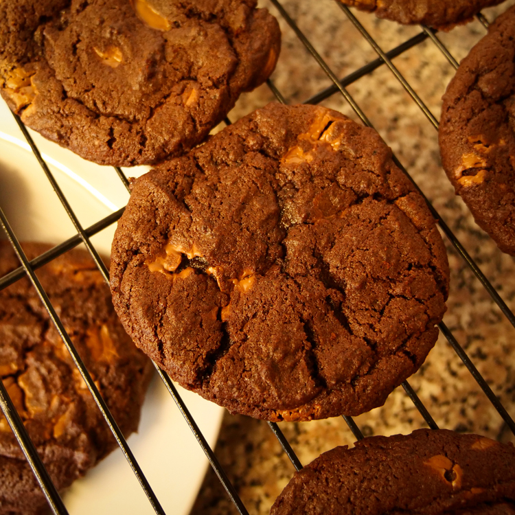the-village-bistro-freshly-baked-choc-chip-cookies
